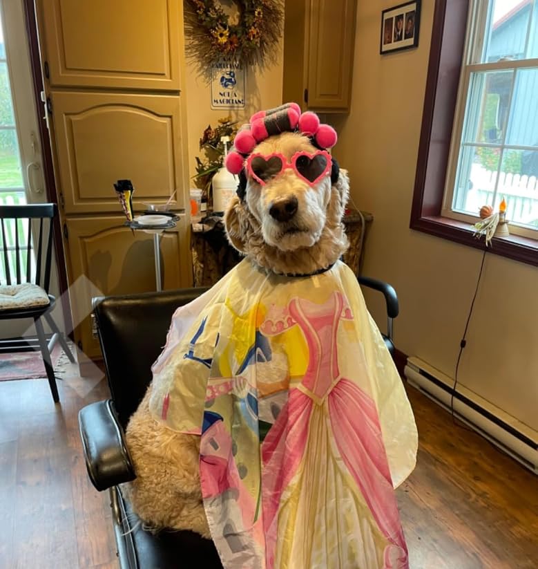 Funny Dog Curler Wig Costume & Glasses - Adjustable, Soft & Warm Pet Wig for Small, Medium & Large Dogs & Cats - Perfect for Halloween, Christmas & Parties (Fits Pet Head Circumference 6-27 Inch)