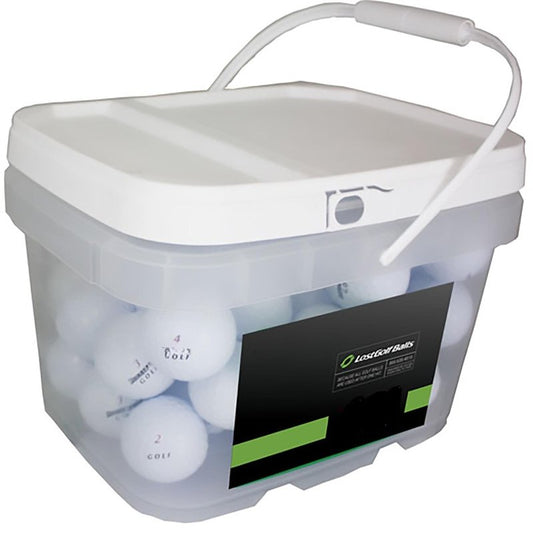 LostGolfBalls - 100 e6 Soft Golf Balls in Near Mint Condition, AAAA Quality, Recycled Used Golf Balls, Best Value Golf Balls, White