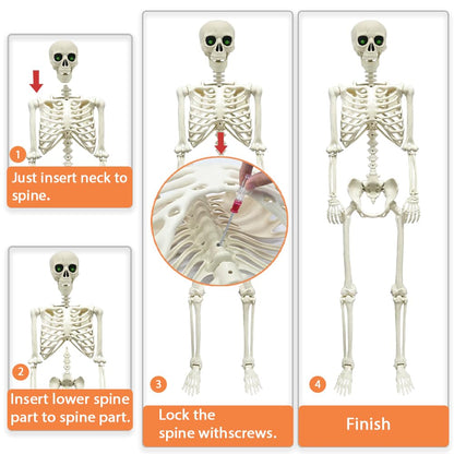 CAMIRUS 5.4FT Full Size Halloween Skeleton, Life Size Posable Skeleton with Glowing Eyes Scary Sound, Plastic Skeleton with Movable Joints for Halloween Decoration