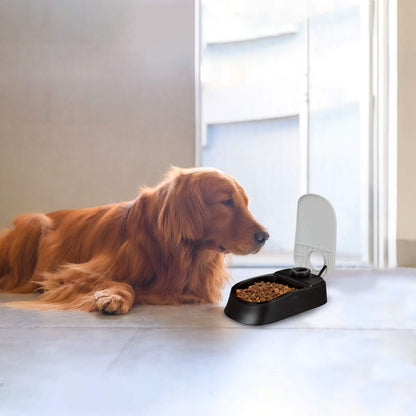 Pawise Automatic Cat & Dog Feeder with Ice Pack - 1-Meal Wet & Dry Food Dispenser, 48-Hour Timer, Dishwasher Safe, Perfect for Pets