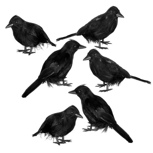 JOYIN 6 Pcs Black Halloween Crow Decor, Realistic Crow Raven Decoration Indoor Outdoor Decor Fake Ravens Prop Haunted House Graveyard Cemetery Yard Table Party Favors Desk Trees Walls Windows