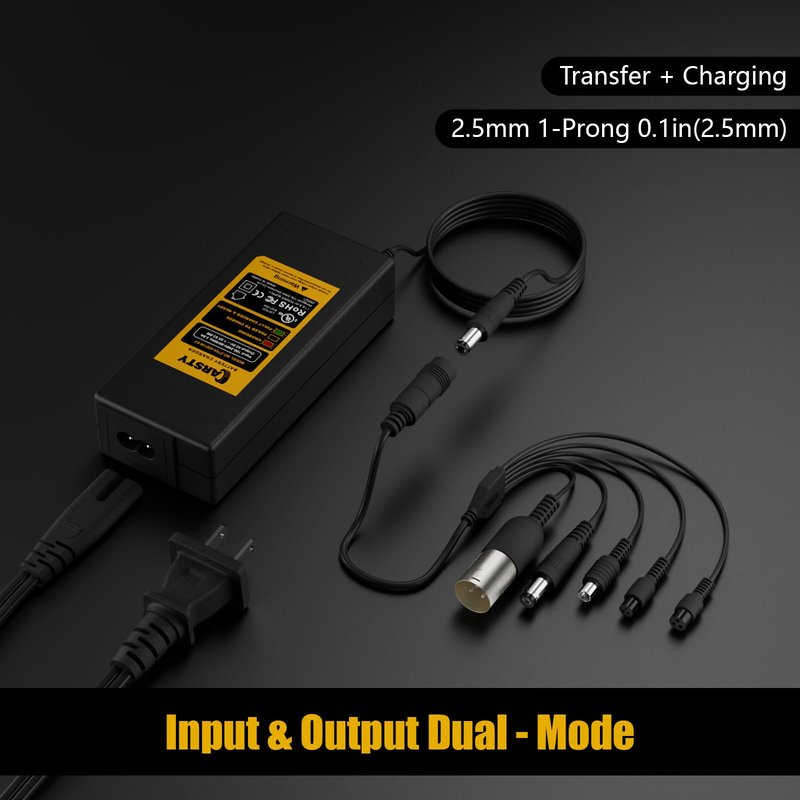 Carsty 42V Electric Scooter & Hoverboard Charger for Gotrax, Jetson, Segway, Ninebot, Swagtron | UL Certified with 5-in-1 Universal Plug Set
