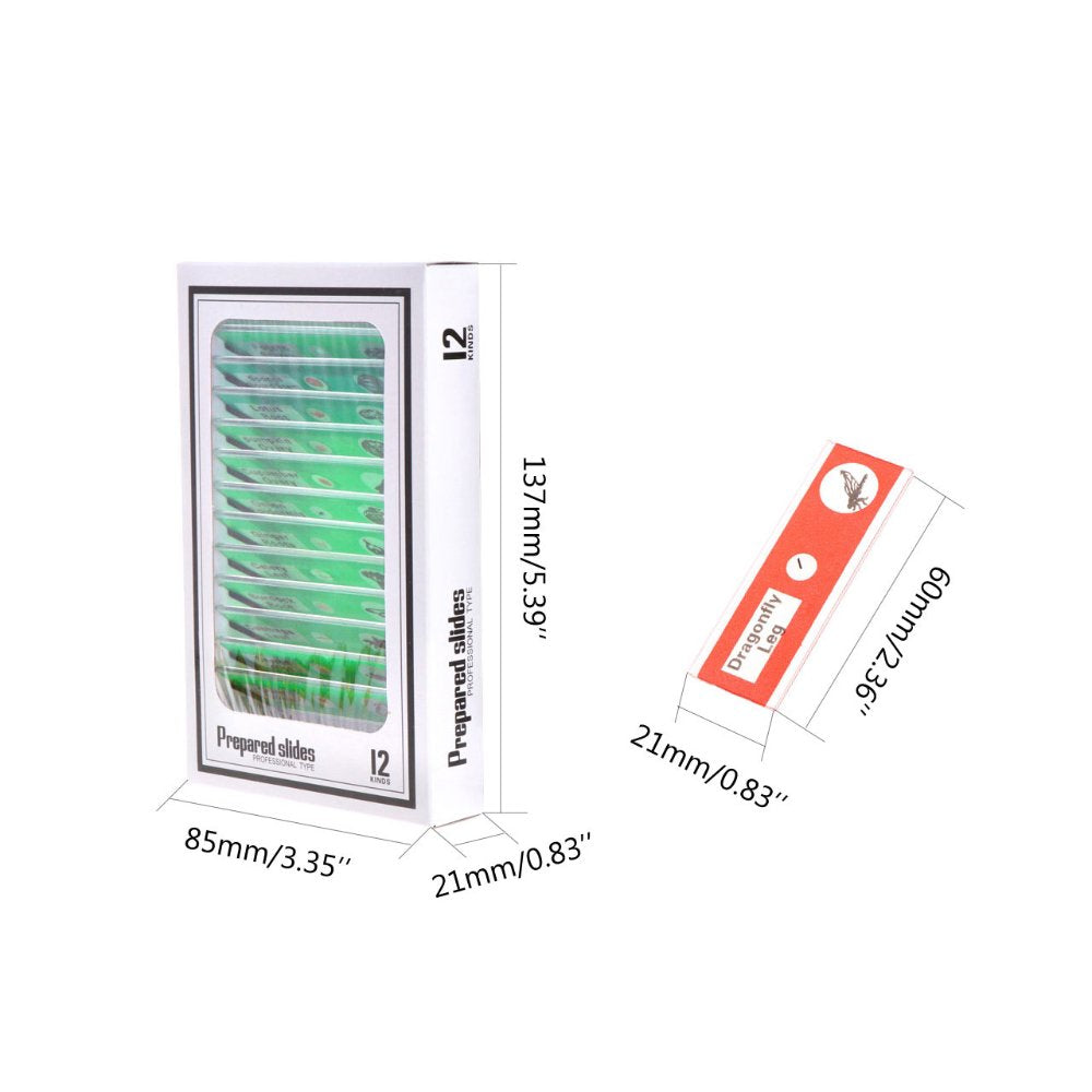 Jiusion 60Pcs Prepared Microscope Slides Specimen Animals Insects Plants Flowers Sample Biological Specimen, Stereo Microscope Slide for Kids Children Students Enlighten Education