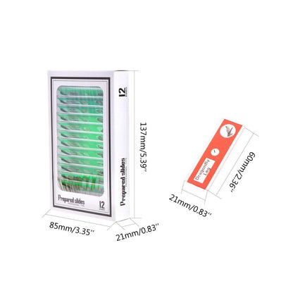 Jiusion 60Pcs Prepared Microscope Slides Specimen Animals Insects Plants Flowers Sample Biological Specimen, Stereo Microscope Slide for Kids Children Students Enlighten Education