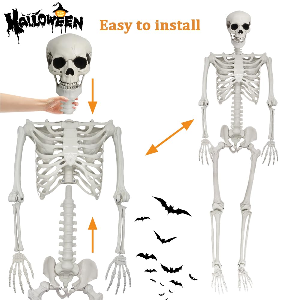 LUKBERA Posable Halloween Skeletons, 1Pcs 5.9ft Life Size Human Skeleton with Movable Joints for Halloween Haunted House Decoration