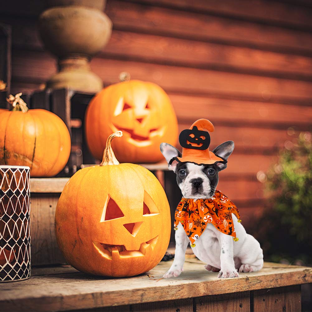 EXPAWLORER Dog Halloween Costumes - Halloween Style Dog Collar with Bells and Wizard's Hat Set,Halloween Pumpkin Pattern Pet Costume for Dogs Wearing - Orange