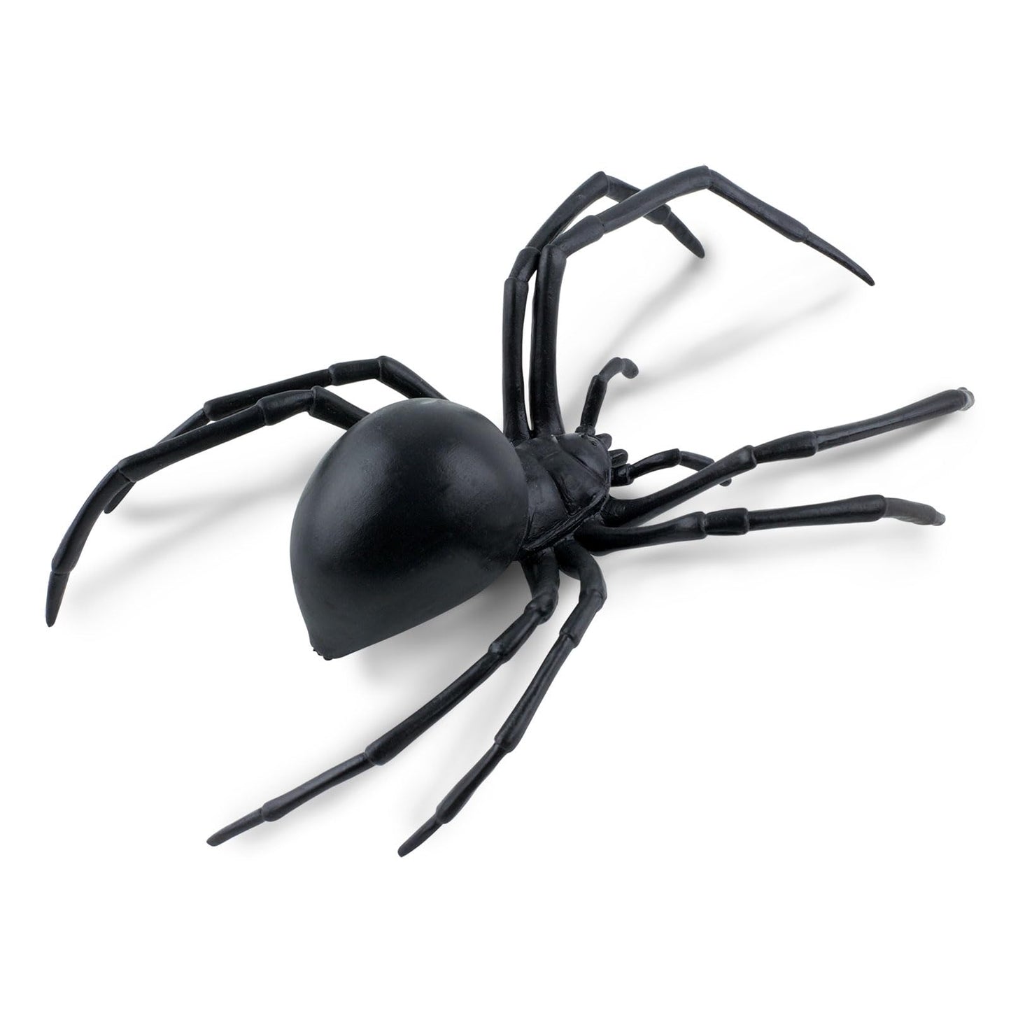 Safari Ltd. Black Widow Spider Figurine - Realistic 6.5" Arachnid Figure - Educational Toy for Boys, Girls, and Kids Ages 3+