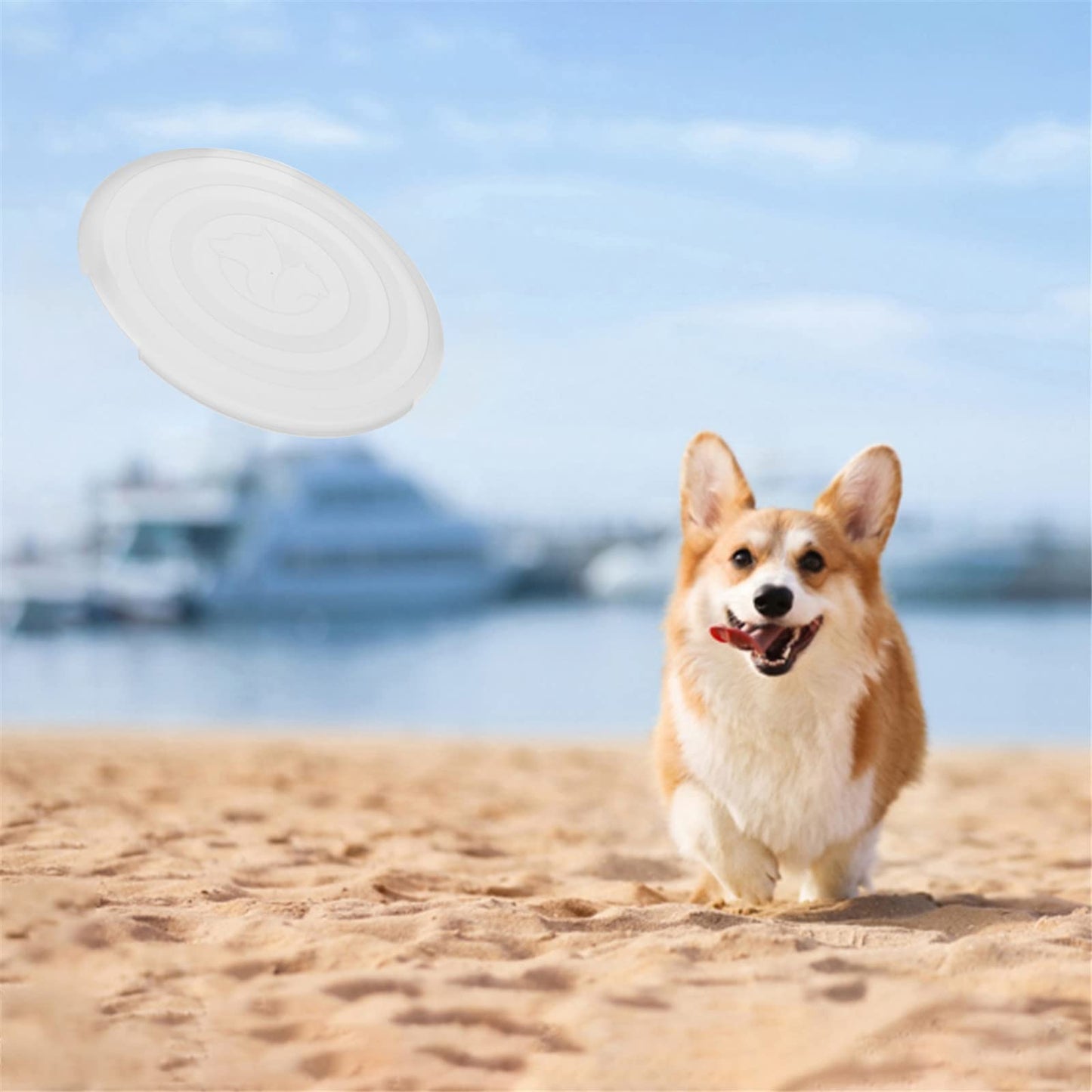 Collapsible Dog Bowl,2 Pack Portable and Foldable Pet Travel Bowls Collapsable Dog Water Feeding Bowls Dish for Dogs Cats and Small Animals,with Lids (Small, Blue+Green)