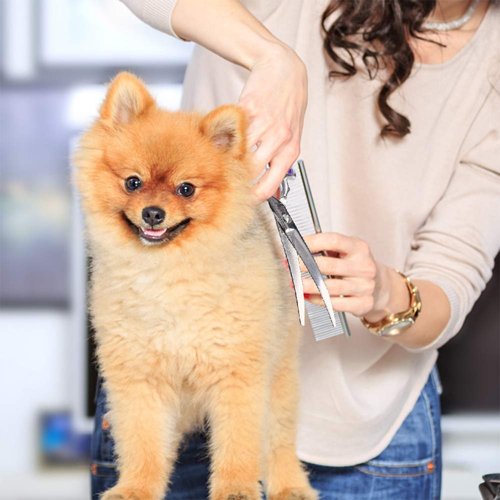 Dream Reach Professional 6.5 Inch Dogs Grooming Curved Scissors, Purple Pet Downward Curved Shears for Cat and Small Dog Shears Or Any Breed Trimming Cuts, Design for Professional Groomer