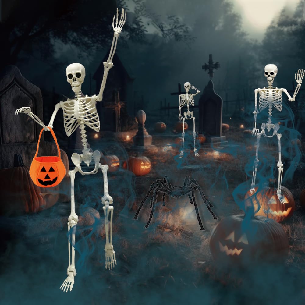 5.4ft/165cm Halloween Skeleton, Life Size Skeleton with Spider Pumpkin Bag, Full Body Human Bones with Movable Joints for Halloween Indoor Outdoor Haunted House Decorations