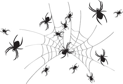 Party Essentials Supplies 20-Count Soft Plastic 16-Ounce Halloween Party Cups/Pint Glasses, Spider Print, One size (SD162042)
