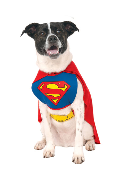Rubies Official Pet Dog Costume, Superman Halloween Halloween