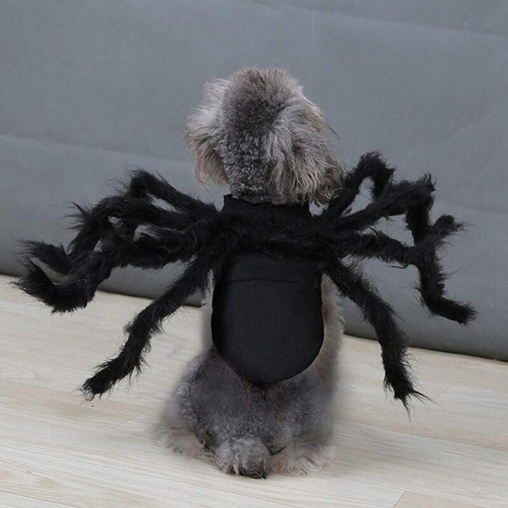 Dog Cat Spider Costume for Halloween Party Decoration, Halloween Cosplay Costumes for Small Dogs and Cat, Puppy Dress Up Accessories
