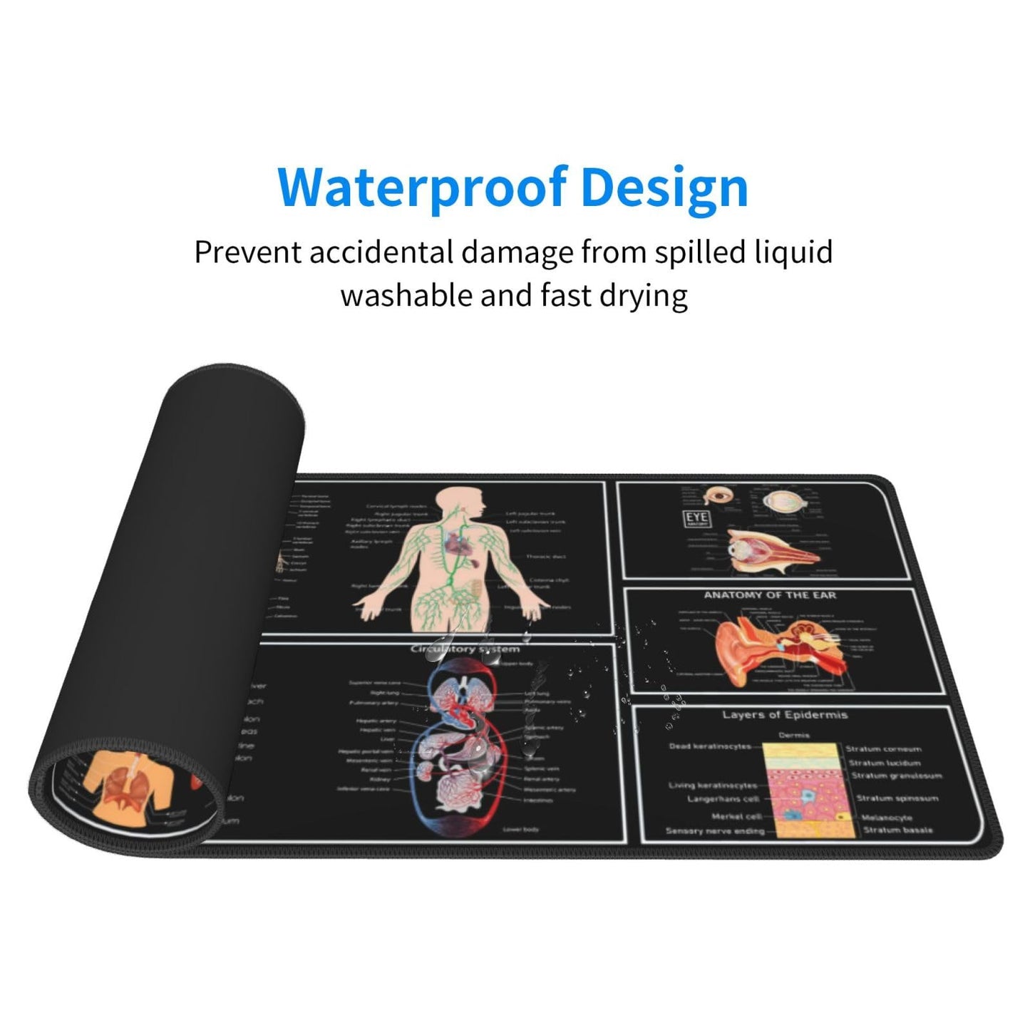 Medical Anatomy Human Physiology Medicine Doctor Assistant Anatomy Model Physiology Gaming Keyboard Mouse Pad Mousepad Desk Mat Huge Extended Xl Stitched Edge Rubber Sole For Home Office(31.5"X 11.8")