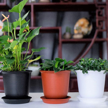 KAHEIGN 6Pcs Plastic Flower Pots, 15.5cm Thicken Plant Pots Plant Container Indoor Gardening Pot with Drainage Pallet (Black)