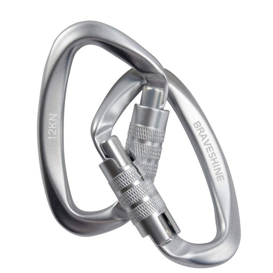 BRAVESHINE Heavy-Weight Carabiner - 2 Pack D Ring Snap Keychain Locking Caribeaner Clips - 12KN Aluminum Screws Buckle Carabiner Hook for Men Women Key Keychains, Water Bottle, Dog Leash - Silver