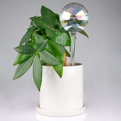 [2 PCS] Light Iridescent Rainbow Gradient Color Clear Glass Self-Watering System Spikes, Self Watering Globes, Self Watering Bulbs, Automatic Plant Waterer Bulbs