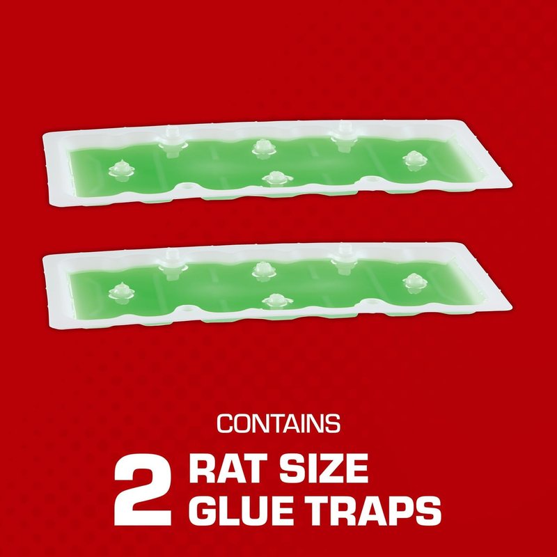 Tomcat Super Hold Glue Traps - Effective Rat & Mouse Control | Ready-to-Use, 2 Traps