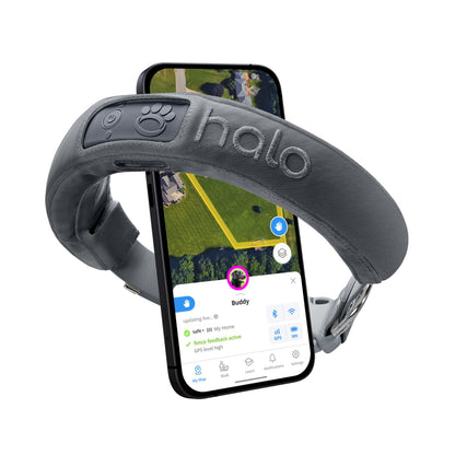 Halo Collar 3, Multifunctional GPS Wireless Dog Fence & Dog Training Collar with GPS Tracker, Subscription Required, Waterproof, Graphite (Medium/Large)