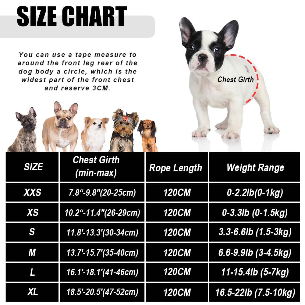 FEimaX Dog Harness and Leash Set for Walking, Soft Mesh Adjustable Easy Control Lightweight Cat Vest Harnesses with Reflective Strips, Escape Proof Small Dogs Cats Vests (Black, X-Small)