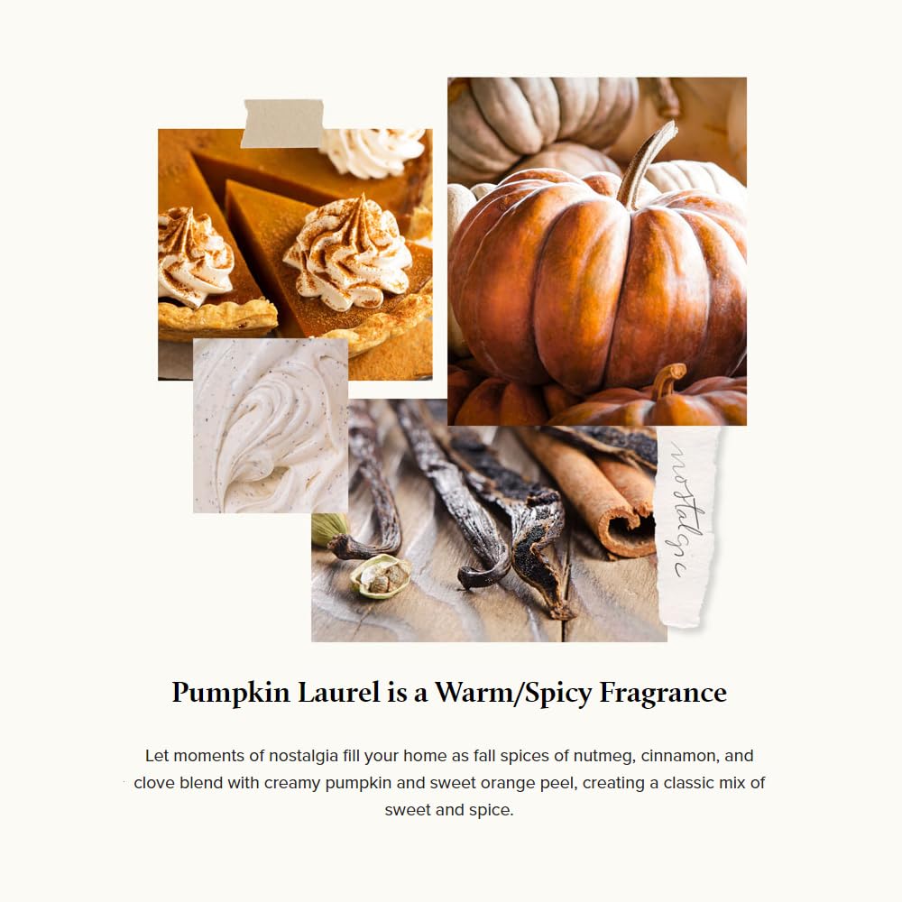 Thymes Scented Candles for Home Decor - Luxury Home Fragrance Gifts for Women & Men - Fall Candles with Creamy Pumpkin, Nutmeg, & Cinnamon - Burnt Orange (Pumpkin Laurel, 6.5 oz)