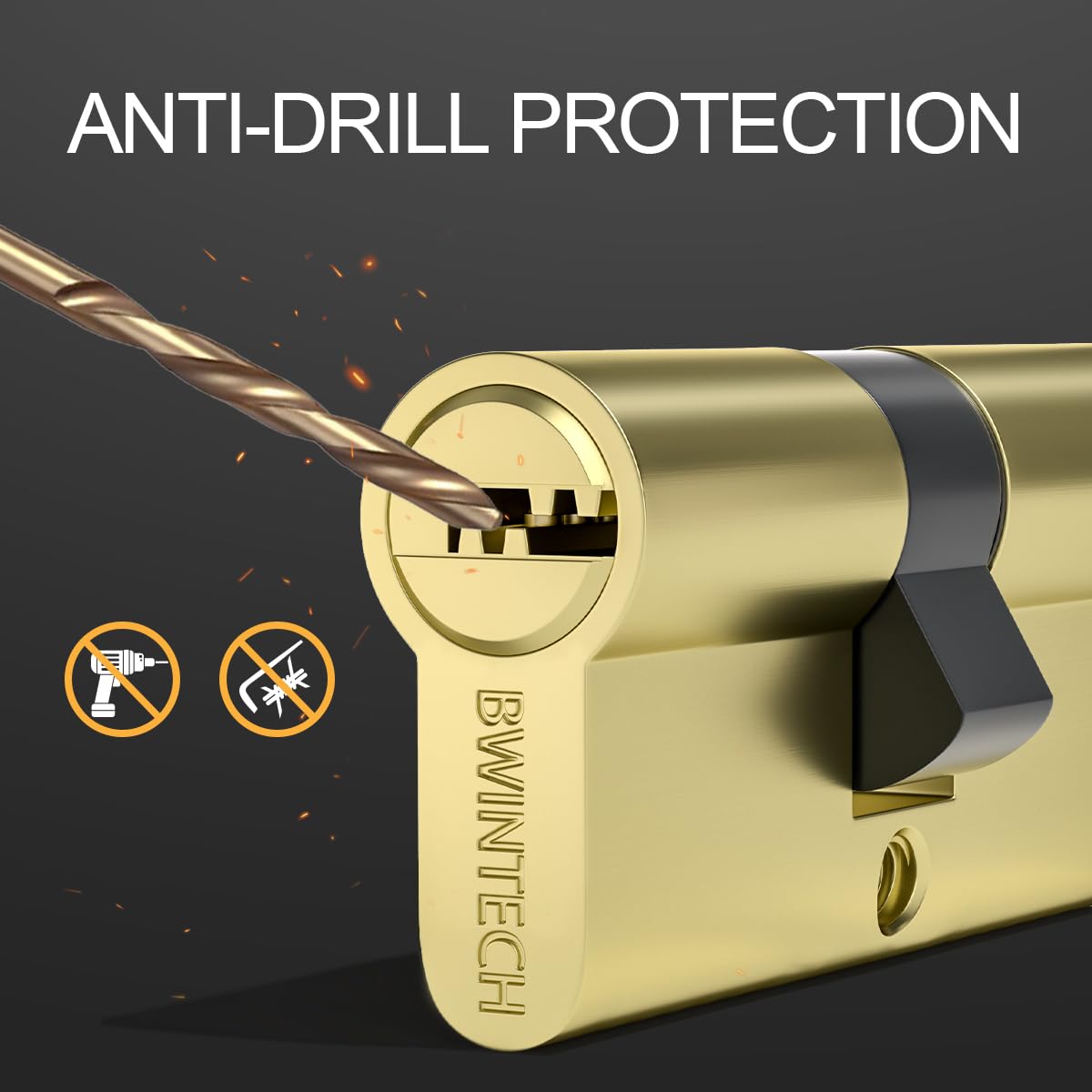 Bwintech Keyed Alike 30/30 mm Euro Brass Cylinder, 60 mm Key/Key Cylinder Lock with 10 Horizontal Brass Keys, Anti Picking, Anti Drill, Anti Bumping, Polished Brass Finish