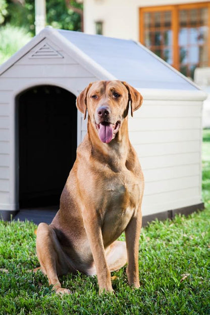 Chalet-Jardin Garden 12-921177 Kennel Dog PVC/Resin 95 x 99 x 99 cm beige/brown