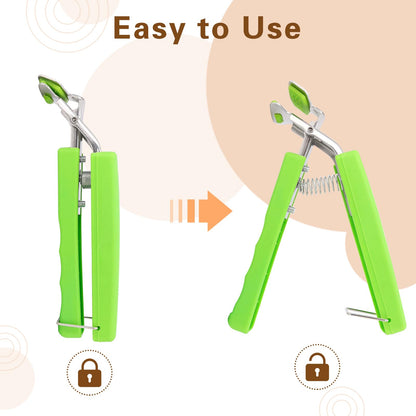 2 Pack Hot Plate Gripper Clips Holder Tongs for Moving Hot Plate Bowls Pizza Pan Air Fryer Microwave Oven with Food Out, Green
