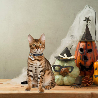 EXPAWLORER Halloween Cat Collar Breakaway - Glow in The Dark Holiday Pet Puppy Collar with Bell and Cute Ghost Pendant, Ideal Gift Adjustable Safety Collars for Cats, 2 Pack