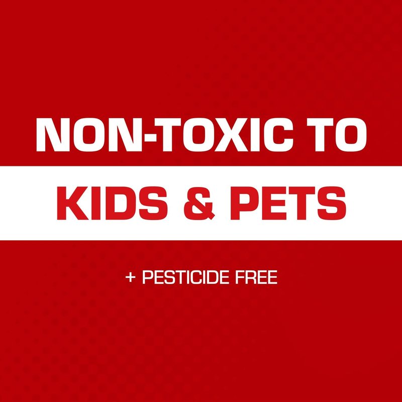 Tomcat Super Hold Glue Traps - Effective Rat & Mouse Control | Ready-to-Use, 2 Traps
