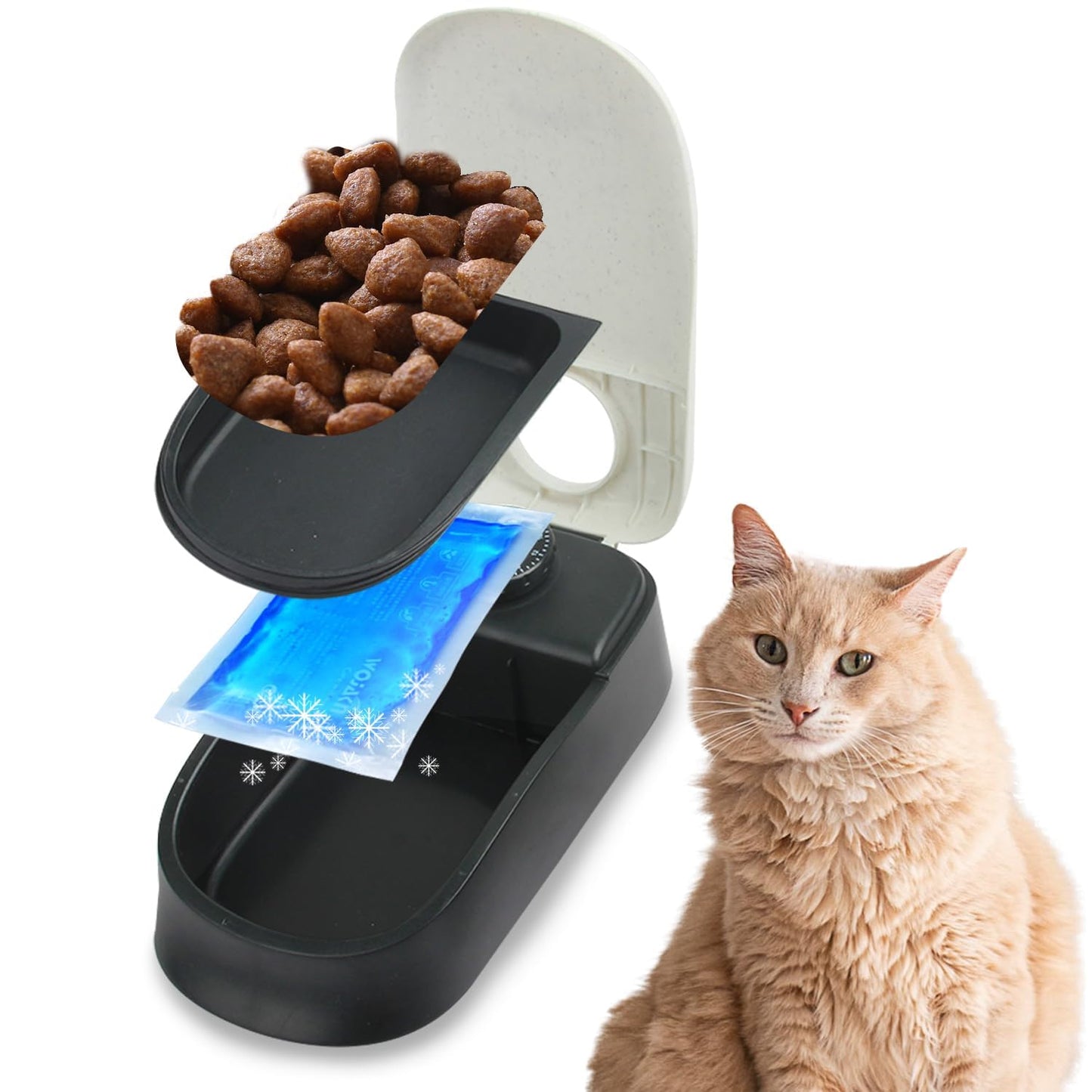 PAWISE Automatic Pet Feeder Food Dispenser with Timer for Cats and Dogs, Cat Food Container, Food Dispenser Station with Timer, 100% BPA Free, Dishwasher Safe(1 Meal)