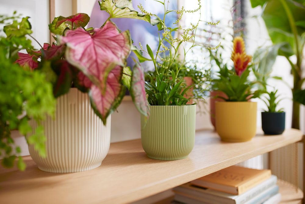 elho Vibes Fold Round 18 - Flower Pot from 100% Recycled Plastic - Indoor plant pot - Ø 18.4 x H 16.8 cm - Green/Sorbet Green