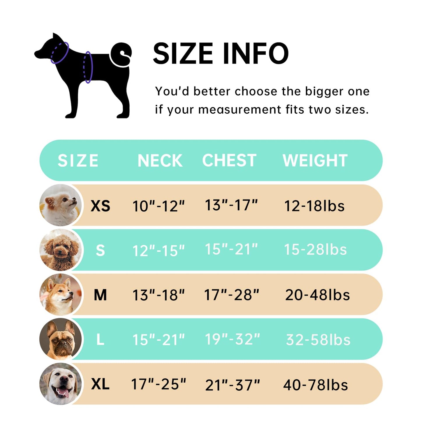 IVY&LANE No Pull Dog Harness with Leash Set, Reflective No Choke Pet Vest,Adjustable Oxford Dog Vest Harness with Easy Control Handle for Medium Dogs (Turquoise,M)