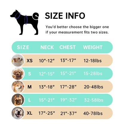 IVY&LANE No Pull Dog Harness with Leash Set, Reflective No Choke Pet Vest,Adjustable Oxford Dog Vest Harness with Easy Control Handle for Medium Dogs (Turquoise,M)