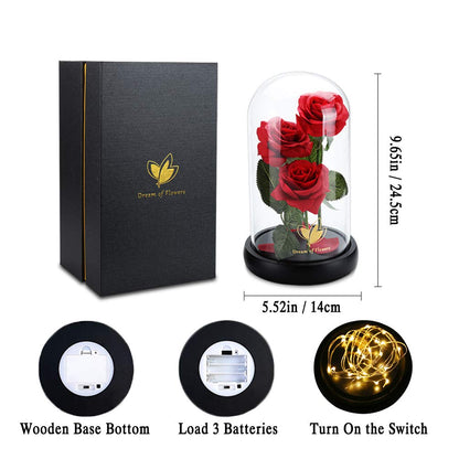 Valentines Day Gifts for Her,Beauty and The Beast Rose in Glass Dome,Anniversary Rose Gifts for Wife,Valentines Flowers Birthday Gifts for Women,Romantic Red Silk Rose Flower Gifts for Women