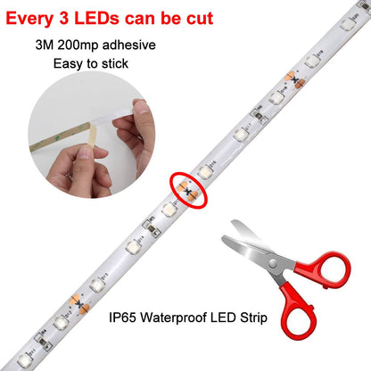 YGS-Tech 24 Watts UV Black Light LED Strip, 16.4FT/5M 3528 300LEDs 395nm-405nm Waterproof IP65 Blacklight Night Fishing Sterilization implicitly Party with 12V 2A UL Listed Power Supply