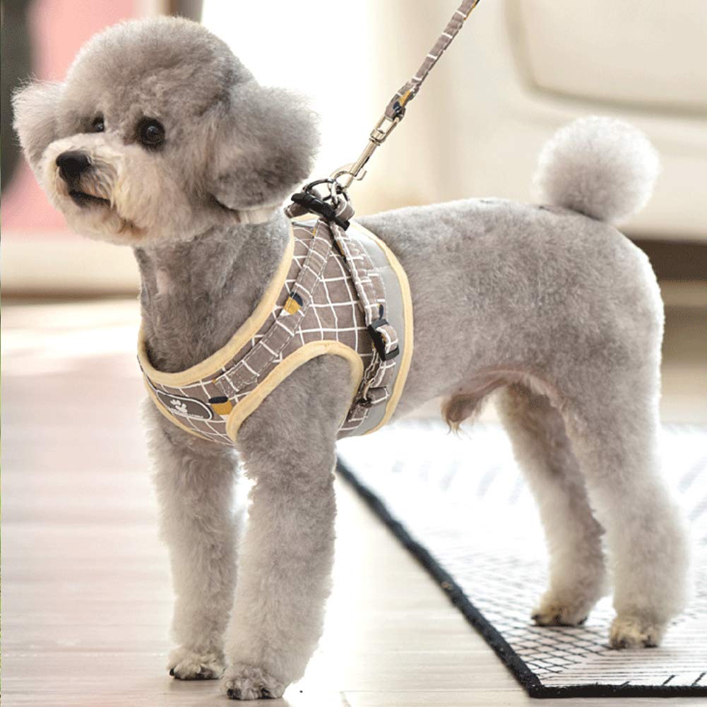 FEimaX Dog Harness and Leash Set, No-Pull Breathable Soft Mesh Puppy Vest Harness Reflective Adjustable Pet Harnesses for Small Medium Dogs and Cats - Outdoor Easy Control for Walking