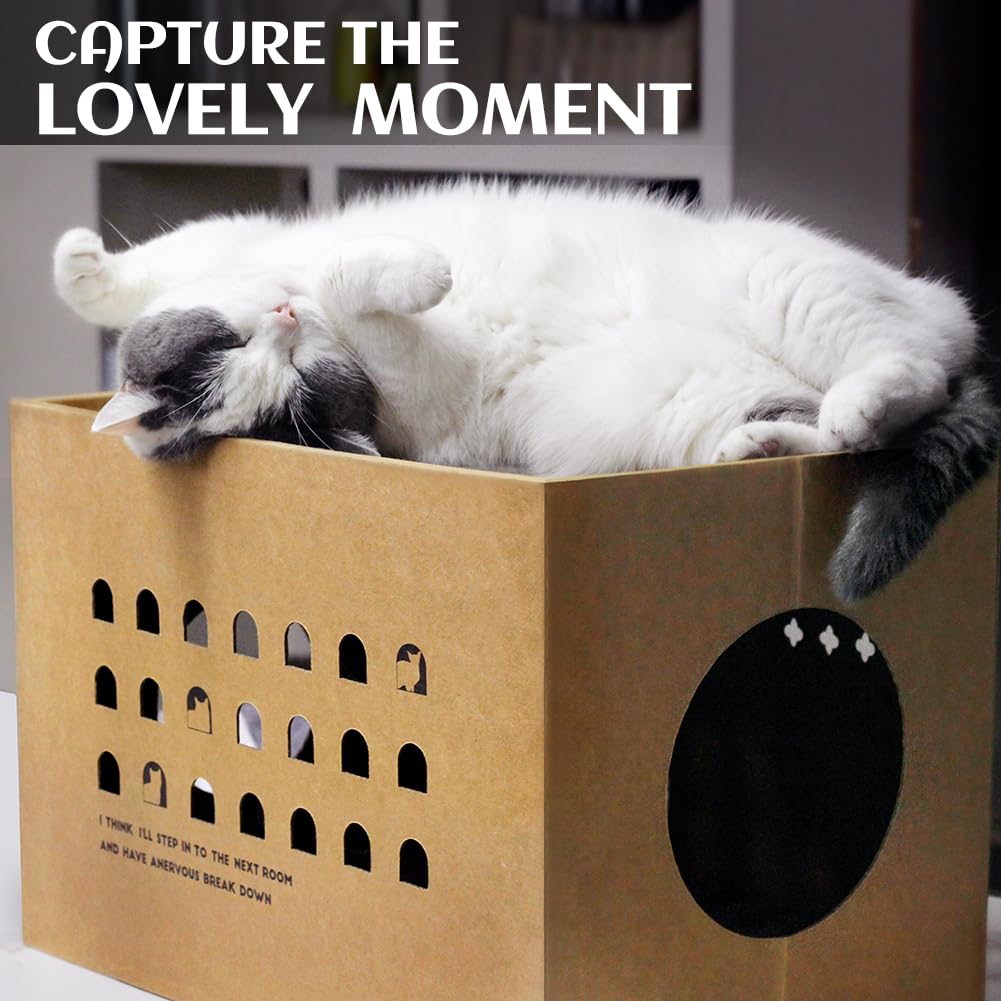 Cat Cardboard House with 2 PCS Scratching Pads，Large Cat Scratcher Bed Cat Scratchers Lounge for Indoor Cats with Corrugated Board Detachable Cat Scratcher Box for Cats.(Cactus) 1