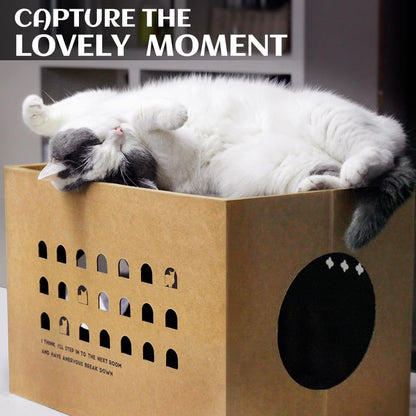 Cat Cardboard House with 2 PCS Scratching Pads，Large Cat Scratcher Bed Cat Scratchers Lounge for Indoor Cats with Corrugated Board Detachable Cat Scratcher Box for Cats.(Cactus) 1