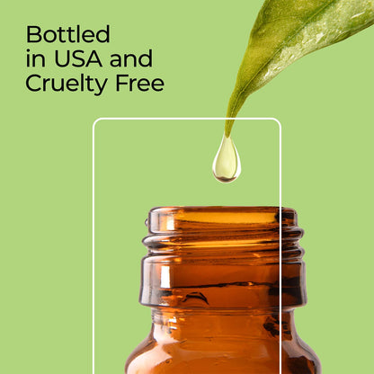 Good Essential Professional Pumpkin Pie Fragrance Oil (1 fl oz / 30ml) for Halloween Candles, Diffusers, Soaps, Lotions, Perfume, Home Scents