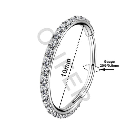 OUFER 18G 20G Nose Ring Hoops Hinged Seamless Segment Helix Piercings Nostril Clicker 316L Stainless Steel CZ Line Daith Tragus Cartilage Earring Jewellery