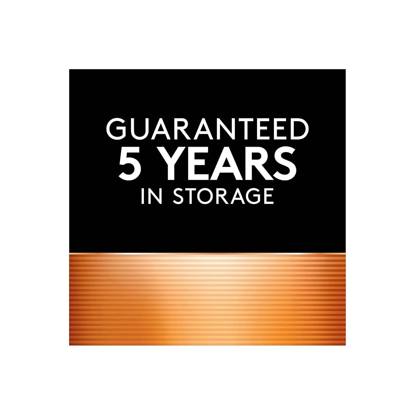 Duracell Coppertop 9V Battery, 2 Count Pack, 9-Volt Battery with Long-lasting Power, All-Purpose Alkaline 9V Battery for Household and Office Devices