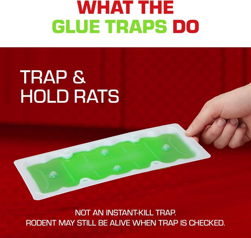 Tomcat Super Hold Glue Traps - Effective Rat & Mouse Control | Ready-to-Use, 2 Traps