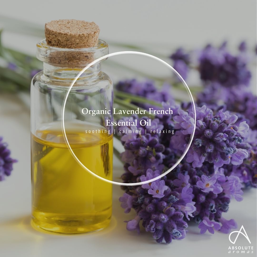 Absolute Aromas Organic Lavender Essential Oil 10ml - 100% Pure, Natural, Vegan, Undiluted and Cruelty-Free - for use in Diffusers, Oil Burners and Aromatherapy Blends