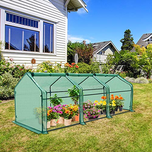 EAGLE PEAK Tunnel Greenhouse Garden Green House with Roll-Up Zipper Doors, Portable 96"x36"x36", Clear/Green PE Cover