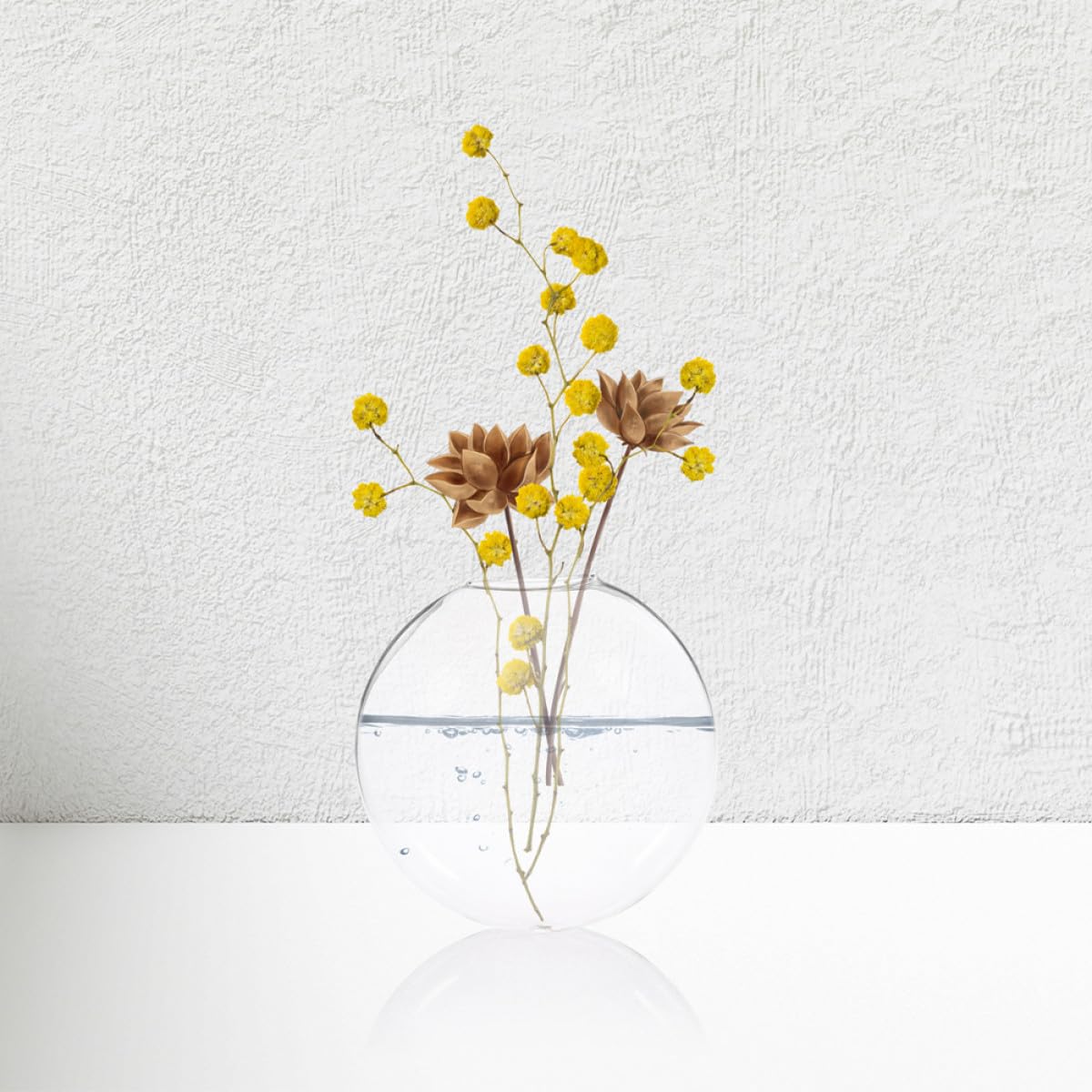 Toyvian 4pcs Wall Hanging Glass Terrarium Planter Vases for Hydroponic Plants Glass Flower Pots Decorative Indoor Outdoor Home Décor