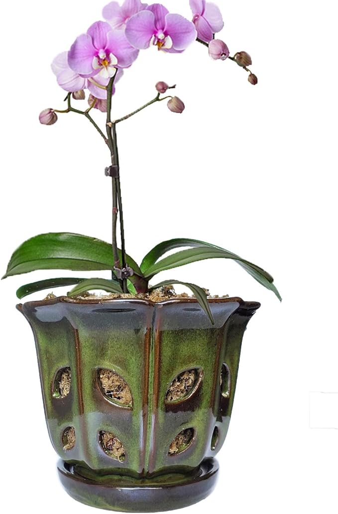 Orchid Pots with Holes 6 inch Ceramic Orchid Pot with Attached Saucer and Drainage Hole (mossgreen)