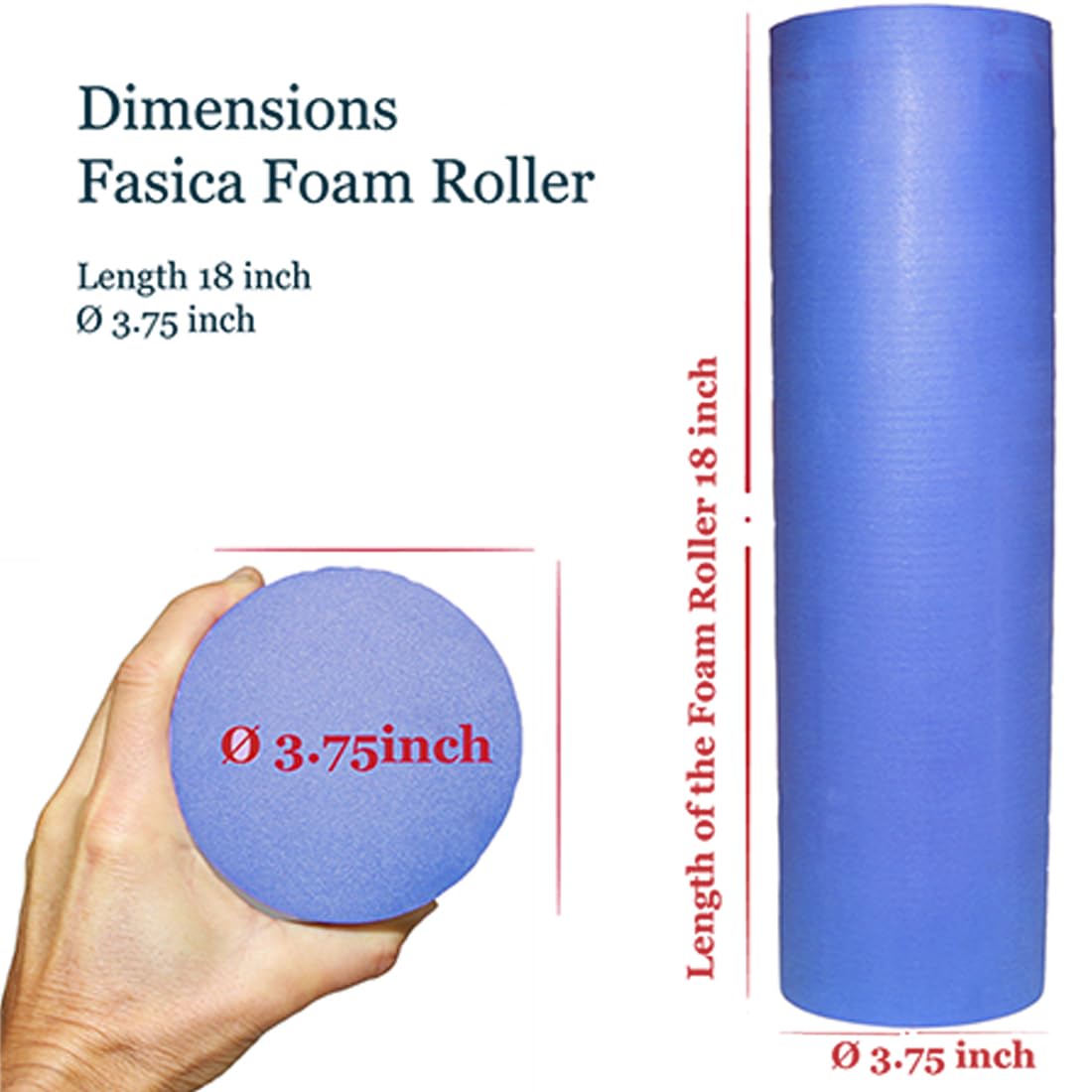 Foam Roller Back Leg Muscle Pain - Small Size Medium Density EVA Muscle Recovery Roll Ø3.75"x18" for Physical Therapy, Helps as Spine Cracker Stretcher