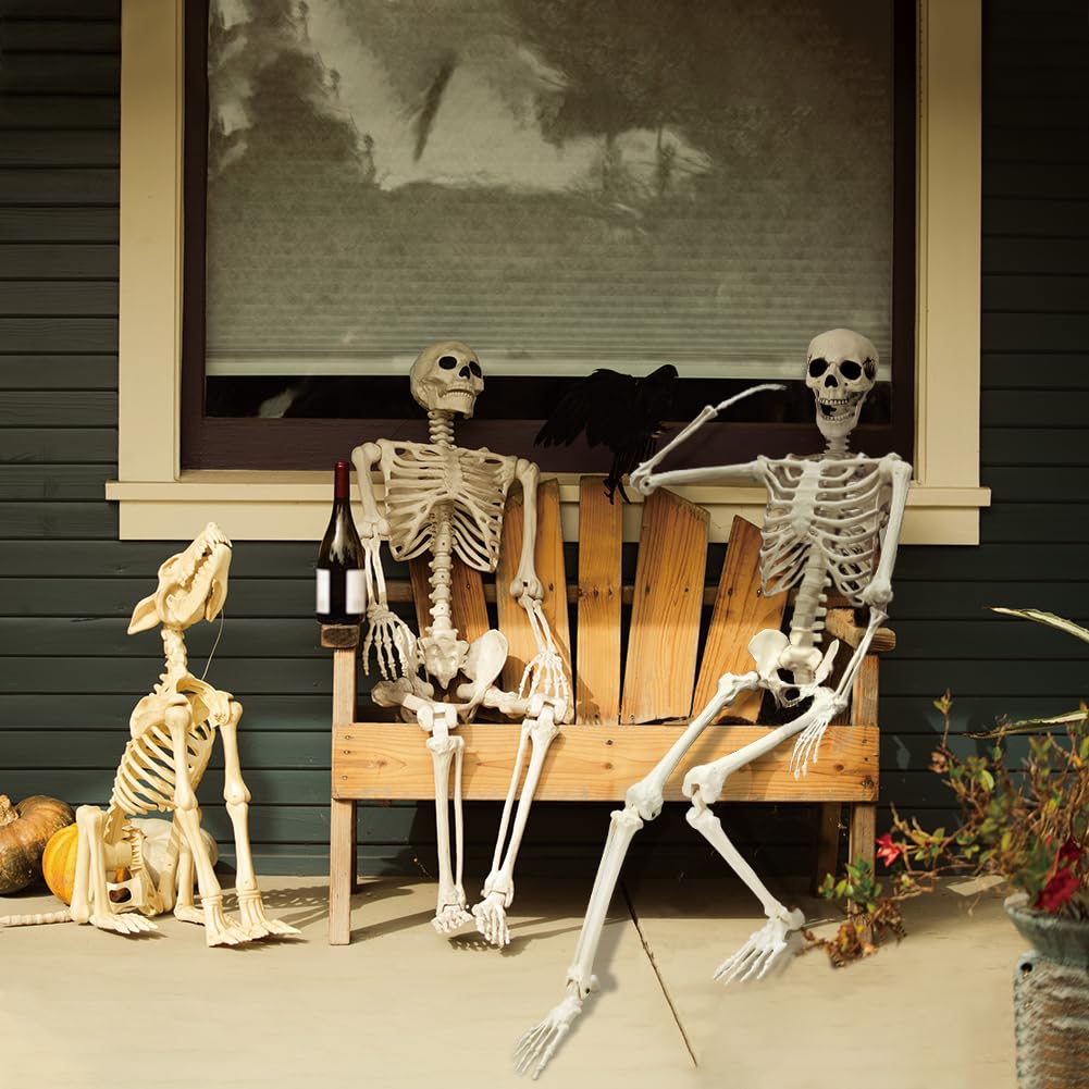 LUKBERA Posable Halloween Skeletons, 1Pcs 5.9ft Life Size Human Skeleton with Movable Joints for Halloween Haunted House Decoration