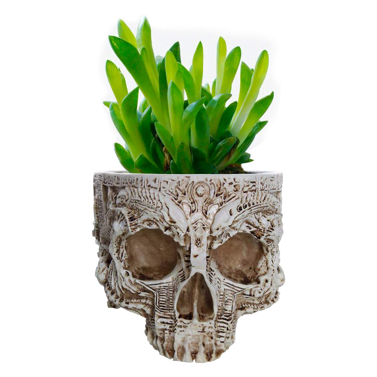 Skull Potted Plant Head Planter Pen Holder Desk Office Organizer Stationery Small Succulent Pots Gifts Decor Mini Resin Home Gardening Flower Pot Special Creative Outdoor Halloween Christmas Party